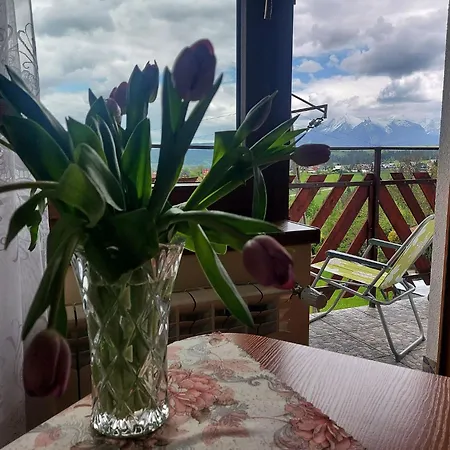 Rum i privatbostad Kosowka W Bukowinie Tatrzanskiej *